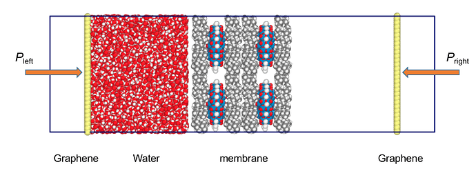 membrane