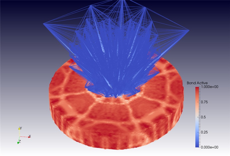 picture_patom_2.jpg
