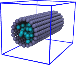 tubewall+solvent_t=3000steps.png