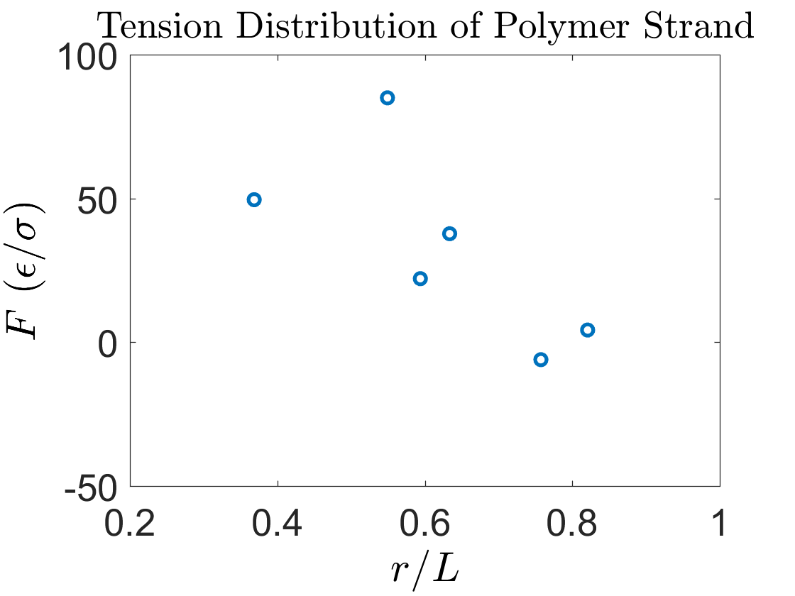 Tension Plot.png