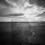 David_Teter